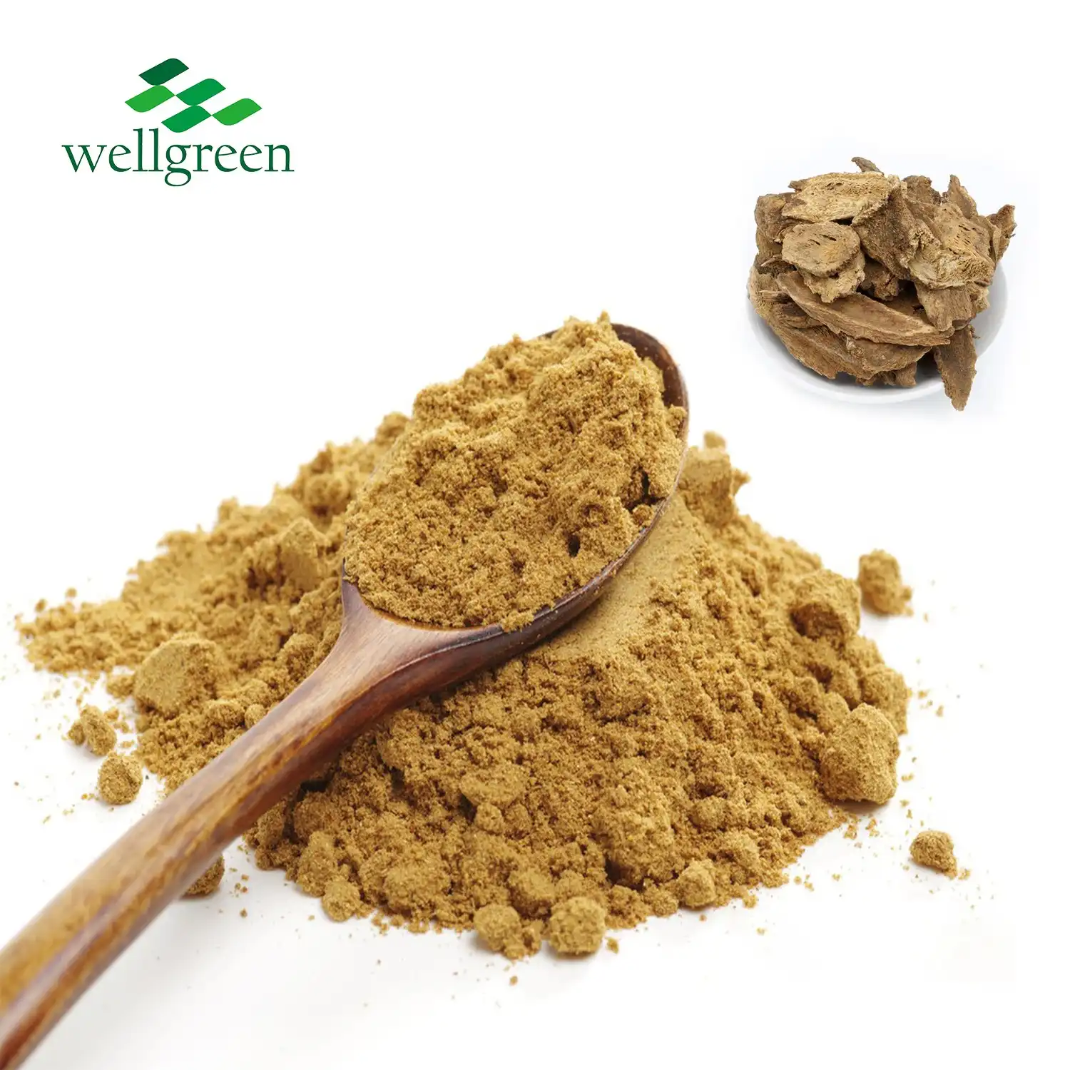 What are the Health Benefits of Aplotaxis Auriculata Extract?